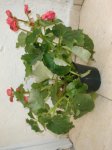 DSC01658.JPG