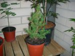 Imagen 058.jpg