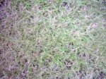 PIC_0004.JPG