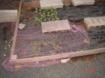DSC01666.JPG