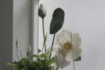 FLOR4P.jpg