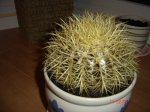 DSC01792.JPG