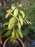 DSC00668.JPG