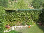 IMG_0875_6.JPG