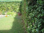 IMG_0877_6.JPG