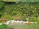 IMG_0879_6.JPG