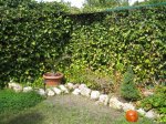 IMG_0880_6.JPG