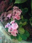 image_00076.jpg