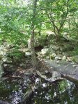 Imagen 010.JPG