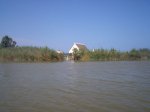 estuvimos en la albufera.jpg