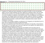 Bancal nº 4.JPG