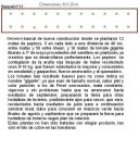 Bancal nº 11.JPG