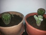 20140429_200043.jpg