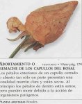 rgh1319896018d.jpg