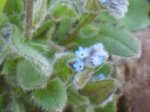 IMG_0045.JPG