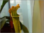 DSC01631.jpg