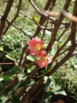 DSC00404.JPG