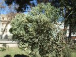 DSC00433.JPG