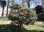 DSC00434.JPG