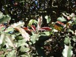DSC00435.JPG