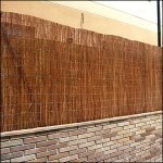 canizo-natural.jpg