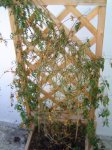 DSC00001.JPG
