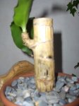 planta.jpg