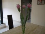flores 2.JPG