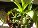 DSC00118.JPG