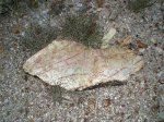 piedra en el suelo1.JPG