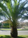 DSC00631.JPG