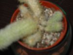DSC02095.JPG