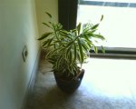 200706_000.jpg