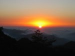IMG_1089_3_1_1_1_1.JPG