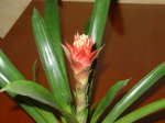 DSC02098.JPG