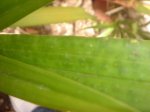 Dsc02240.jpg