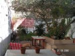 jardin 1.JPG