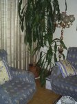 S20200382.jpg