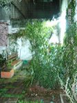 PICT0003.JPG