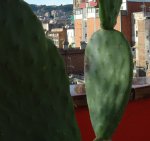 Foto 1.JPG