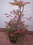 Imagen 088.jpg