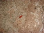 Dsc02291.jpg