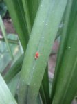 Dsc02294.jpg