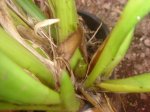 Dsc02303.jpg