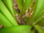 Dsc02304.jpg