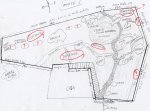 diseño jardin1.JPG