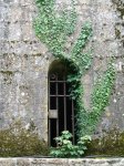 665 Mont St Michel Ventana 2.jpg