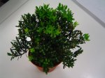 Dsc05854.jpg