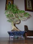 DSCN0673.JPG