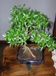 DSCN0674.JPG
